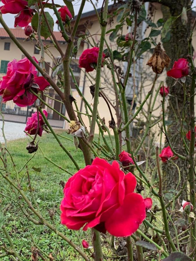 Agriturismo Cascina Mariale Albiano D'Ivrea Bagian luar foto